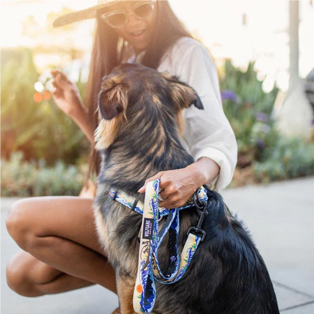 MountainWave Dog Leash