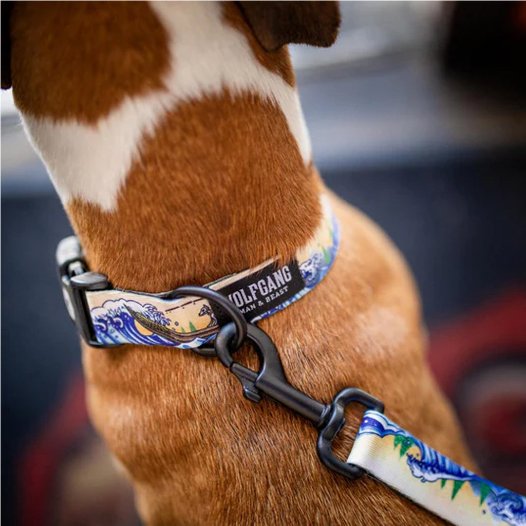 MountainWave Dog Collar