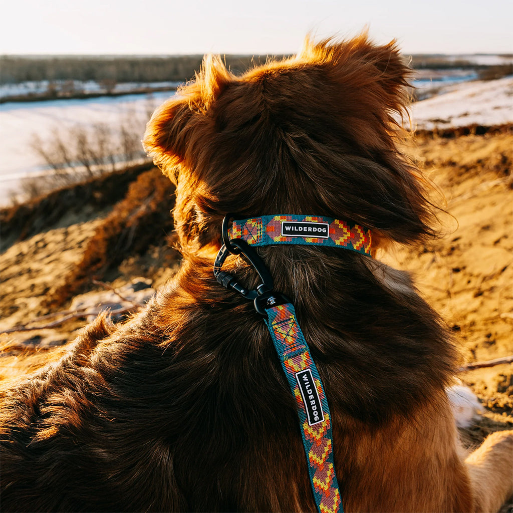 Havasu Ultralight Collar