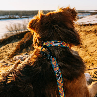 Havasu Ultralight Collar