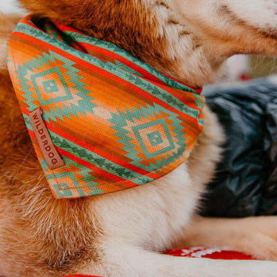 Sonora Bandana