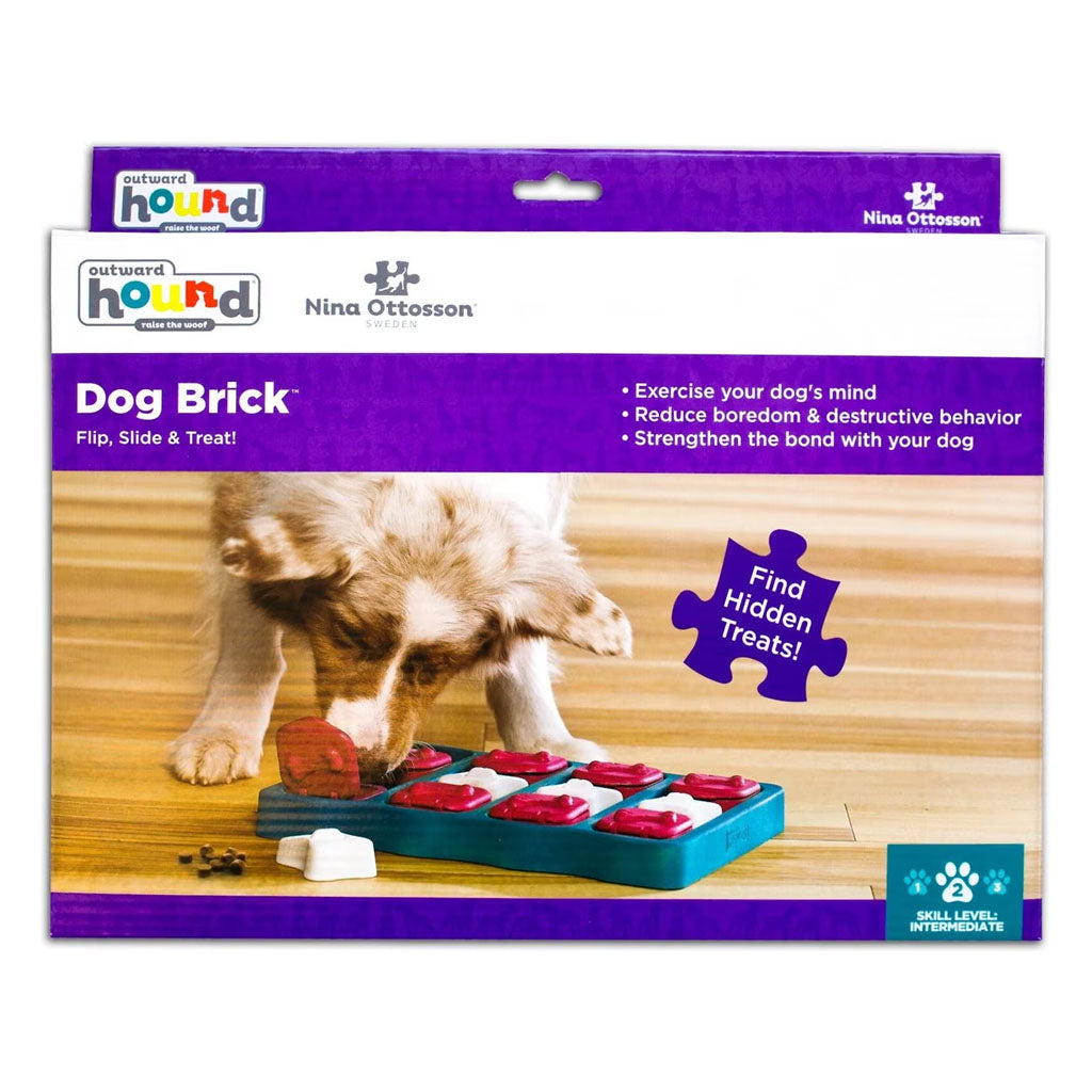 Dog Brick Blue Puzzle Game Toy