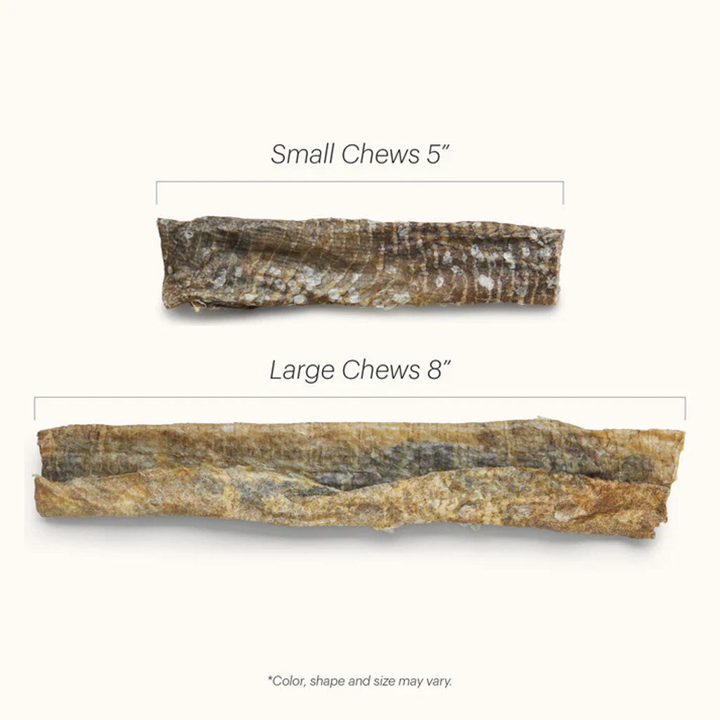 The Honest Kitchen Beams Ocean Cod Fish Skins Dog Chews 5.5 oz