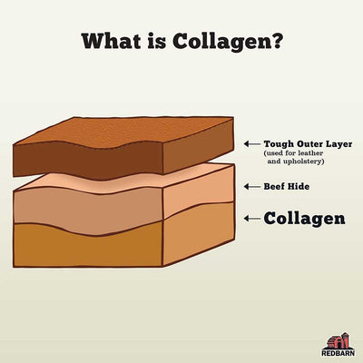 Extra Large Collagen Stick