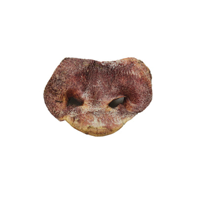 (Raw Bar) Freeze-dried Pig Snout