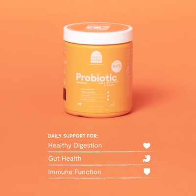 Probiotic Supplement 90ct