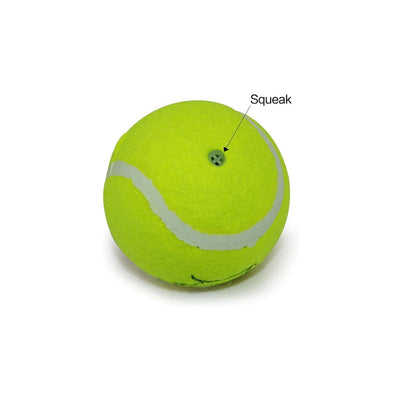 Single Squeaky Tennis Ball