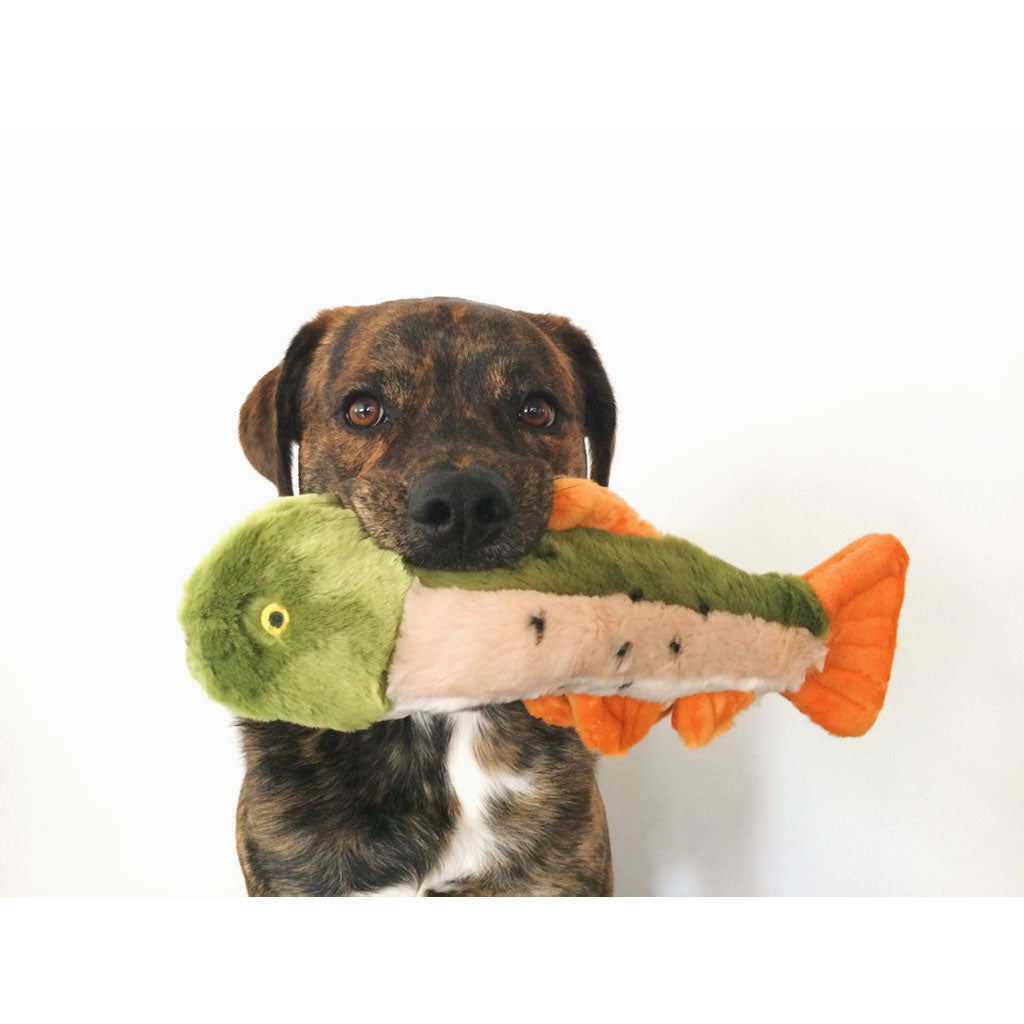 Ruby Rainbow the Trout Plush Toy