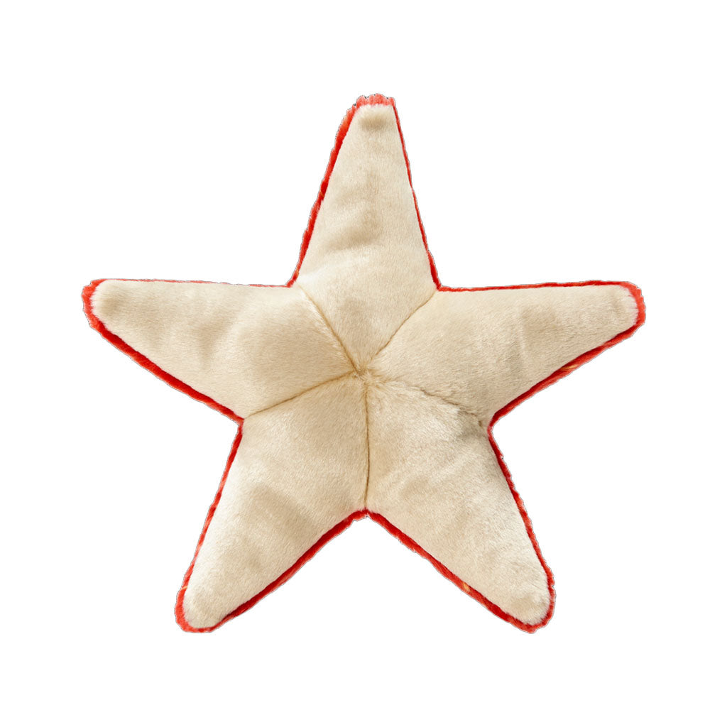 Ziggy the Starfish Plush Toy